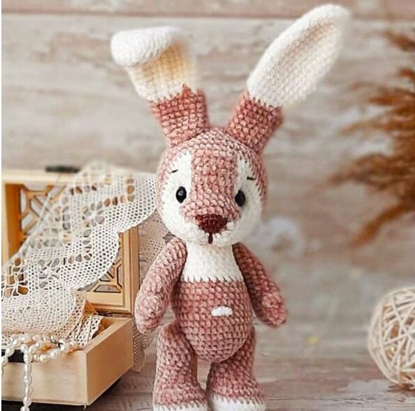 Bunny
