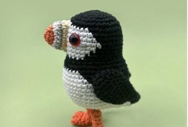 Puffin