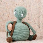 Sports Turtle