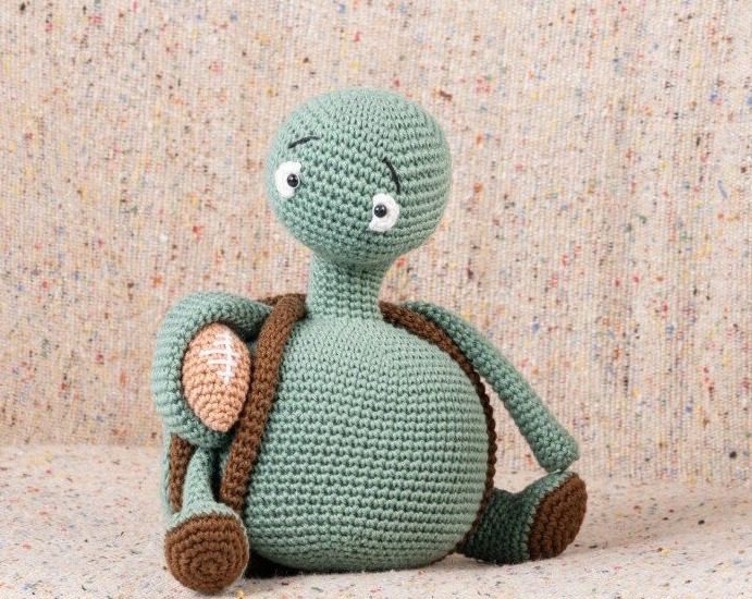 Sports Turtle